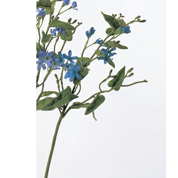 楽天市場 造花 アスカ ブルースター 18 ブルー A 9 01 取寄 造花 アーティフィシャルフラワー 造花 花材 は行 ブルースター 花材通販はなどんやアソシエ