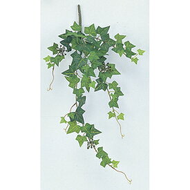 楽天市場 色が変わる 種類 植物 アイビー 花 観葉植物 花 ガーデン Diy の通販 楽天市場 色が変わる 種類 植物 アイビー 花 観葉植物 花 ガーデン Diy の通販