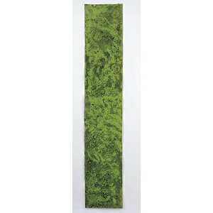 yԁzAXJ/XV[g(O)@O[/A-15169-51Ay01z ԁiA[eBtBVt[j ԗtAtFCNO[ ہAX