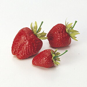 yԁzAXJ/Xgx[(118R)@bh/A-23016-2y01z ԁiA[eBtBVt[j ԎAtFCNt[c EXgx[