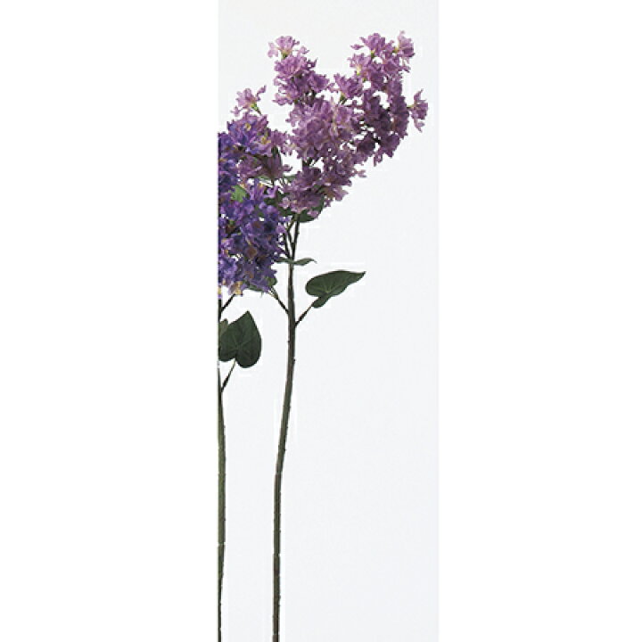 楽天市場 造花 アスカ ライラック ライラック A 17 01 取寄 造花 アーティフィシャルフラワー 造花 花材 ら行 ライラック 花材通販はなどんやアソシエ