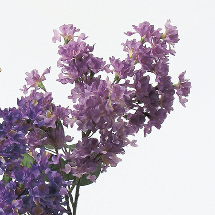 楽天市場 造花 アスカ ライラック ライラック A 17 01 取寄 造花 アーティフィシャルフラワー 造花 花材 ら行 ライラック 花材通販はなどんやアソシエ