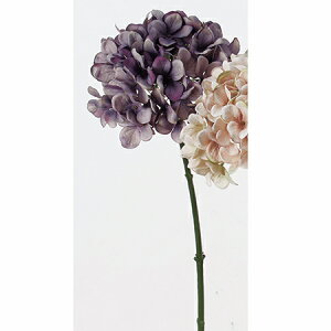 yԁzAXJ/nChWA@006@x_|/A-32529-006y01z ԁiA[eBtBVt[j  ԍށusv izԁj