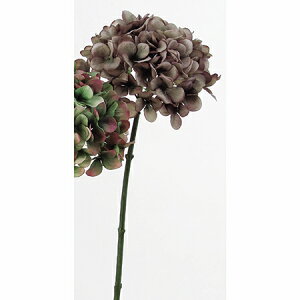 yԁzAXJ/nChWA@063@OC/A-32529-063y01z ԁiA[eBtBVt[j  ԍށusv izԁj