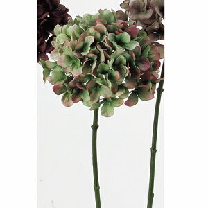 yԁzAXJ/nChWA@051P@O|sN/A-32529-051Py01z ԁiA[eBtBVt[j  ԍށusv izԁj