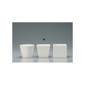 NC/J[x[XXNGAL@WHITE/144-774-100y01z ԊA[X ԊEԕr Ԋ