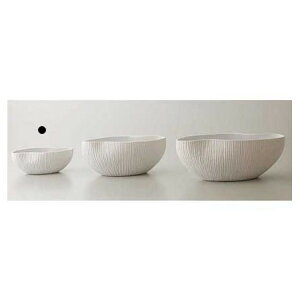 NC/plage oval 19L8W7H@WHITE/144-749-102y01z ԊA[X ԊEԕr Ԋ