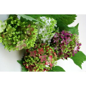 yԁzFIAN/ubTsbN/FF0003REDy01z ԁiA[eBtBVt[j  ԍށusv izԁj