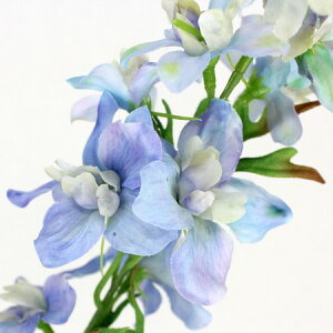 yԁzsԓ]ʁtFIAN/ftBj[/FF0022LTBy01z ԁiA[eBtBVt[j  ԍށusv ftBj[