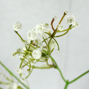 yԁzFIAN/JX~/FF0025CRy01z ԁiA[eBtBVt[j  ԍށusv ݑ