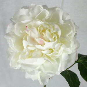 【造花】FIAN/アンジェロピオニー/FM0029-WHT【01】 造花(アーティフィシャルフラワー) 造花 花材「さ行」 シャクヤク(芍薬)・ボタン(牡丹)・ピオニー