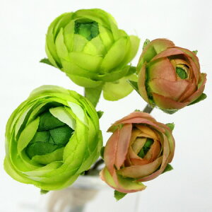 yԁzFIAN/~jiLXsbNi4{j@GR/FPF0007GRy01z ԁiA[eBtBVt[j  ԍށusv iLX