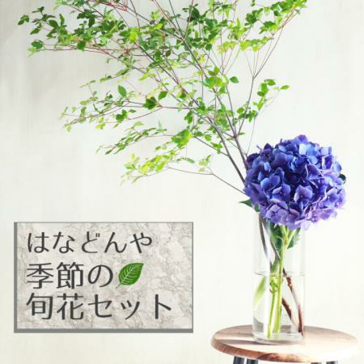 楽天市場 生花 はなどんや旬花セット 瑞々しいドウダンツツジと紫陽花 1セット 届日限定 6 11以降 花材通販はなどんやアソシエ