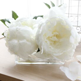 楽天市場 芍薬 品種 花束 切花 花 観葉植物 花 ガーデン Diyの通販