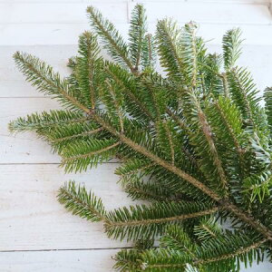 yԁzY~}i60cmxjQnZ{Ȃǁy-74z[5{]͓F\1TԑO͓F12/15܂