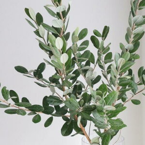 yԁztFCWA@70Z`-@Ђߒ_قyOTz[5{]