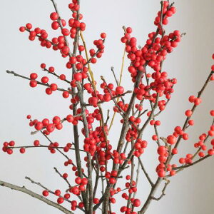 yԁzOEEC^[x[i80cmj JA݂Ȃ݁@yFJz[1{]