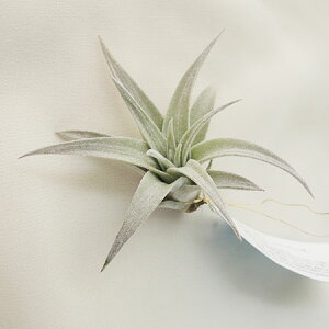 y/zGAvcSTCYFnV[yFz[20]͓F\10O