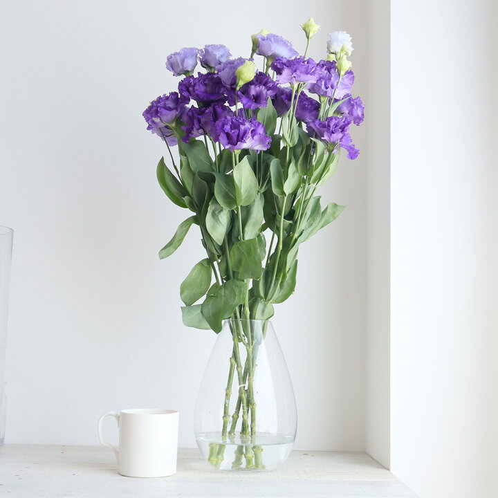 楽天市場 生花 トルコギキョウ フリンジ八重 濃い紫 ボヤージュb セレブbなど 入荷少量 5本 花材通販はなどんやアソシエ 楽天市場 生花 トルコギキョウ フリンジ八重 濃い紫 ボヤージュb セレブbなど 入荷少量 5本 花材通販はなどんやアソシエ