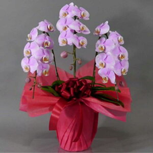 yzy/z~fBӒ@sN3{ kC͑Z yAGz[1]͓F\1TԑO