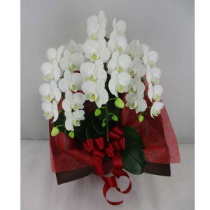 yzy/z~fBӒ@3{ kC͑Z yAGz[1]͓F\1TԑO