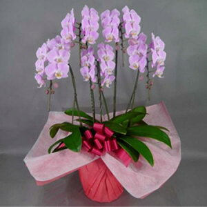 yzy/z~fBӒ@sN5{ kC͑Z yAGz[1]͓F\1TԑO