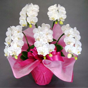 yzy/z~fBӒ@5{ kC͑Z yAGz[1]͓F\1TԑO