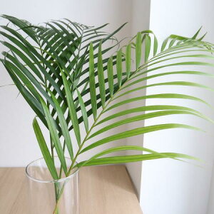 yԁzAJV[/100Z`O]yOTz[5{]