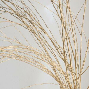 yԁzih}j100cmx@yOTz͓F12/23ȍ~[10{]