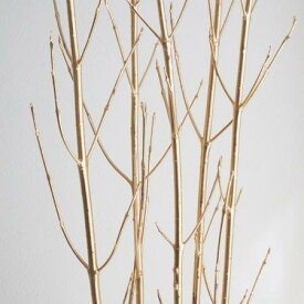 楽天市場 サンゴミズキ 花 ガーデン Diy の通販