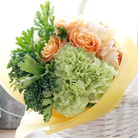 楽天市場 ゼラニウム 花束 切花 花 観葉植物 花 ガーデン Diyの通販