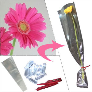 yԁz1{ԑZtbsOLbgiK[xF܂j[10{]