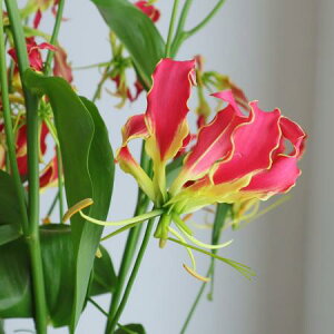 yԁzOITkԁlG2L@yOTz[5{]