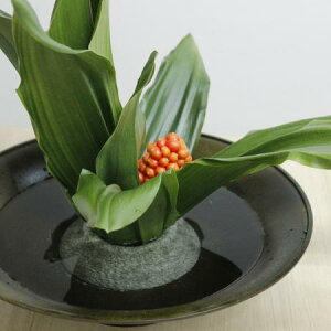 y/\zN@呐iΗt15E2j͓F12/18ȍ~[1t]