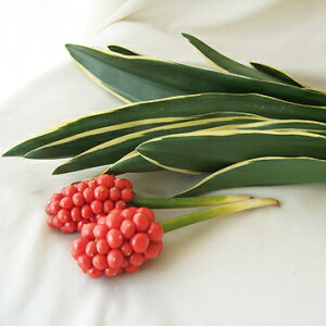 y/\zN@s̏it15E2j͓F12/18ȍ~[1t]