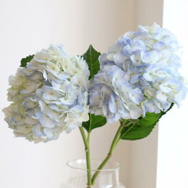 【生花】輸入アジサイ（ライトブルー系）40cm〜【OR-89】[2本]