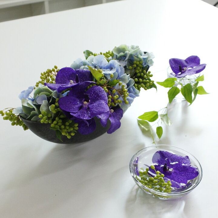 楽天市場 生花 バンダ ブルー系おまかせ 4 5輪 5本 花材通販はなどんやアソシエ