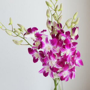 yԁzft@@\jAiZsNjyOTz[5{]