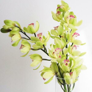 yԁzVrWE@O[n@1yFJz ͓F12/16ȍ~[2{]