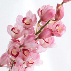 yԁzVrWE@sNn 1yFJz ͓F12/16ȍ~[2{]