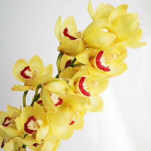 yԁzVrWE@Fn 1yFJz͓F12/16ȍ~[2{]