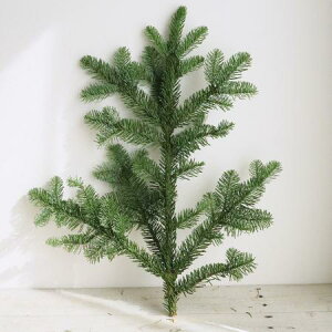 y/[zISY@~}`bv(LOT1/4cs)[1]͓F12/15܂