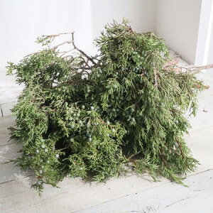 yԁzISYlY}t(P[X)[1P[X]͓F12/15܂