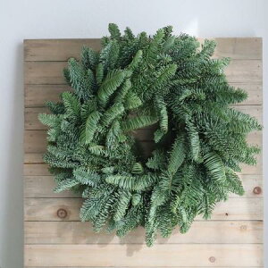 yԁẑ܂܏ISYv[[X30cm[1]͓F11/20ȍ~