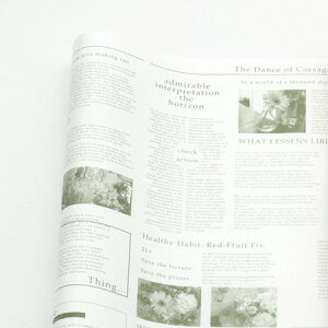 HOSHINO/p@@Thatfs@@No.1izCg^O[j/316211y07z[500] bsOpi A bsOy[p[() pV