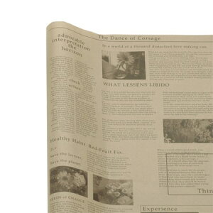 HOSHINO/p@@Thatfs@@No.2iuE^uEj/316212y07z[500] bsOpi A bsOy[p[() pV