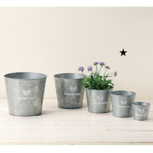 GREENHOUSE/t`Vo[uL EhS/3389-Dy01z ԊA[X ԊEԕr uLEACA