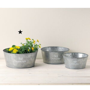 GREENHOUSE/t`Vo[uL T[NL/3391-Ay01z ԊA[X ԊEԕr uLEACA