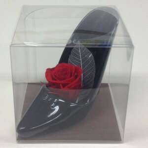 PETNAP[X@L[u@SSi͂ȂǂIWijyzy01z[10] bsOpi A bsOEMtg{bNX NAP[X({bNX)