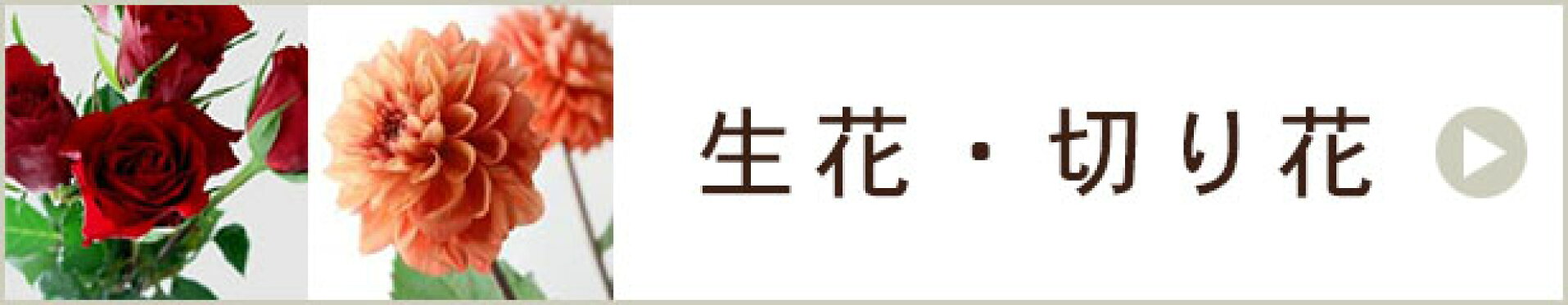 生花・切り花